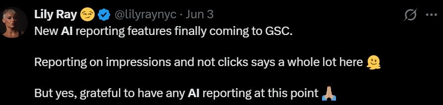 Lily Ray AI reporting GSC