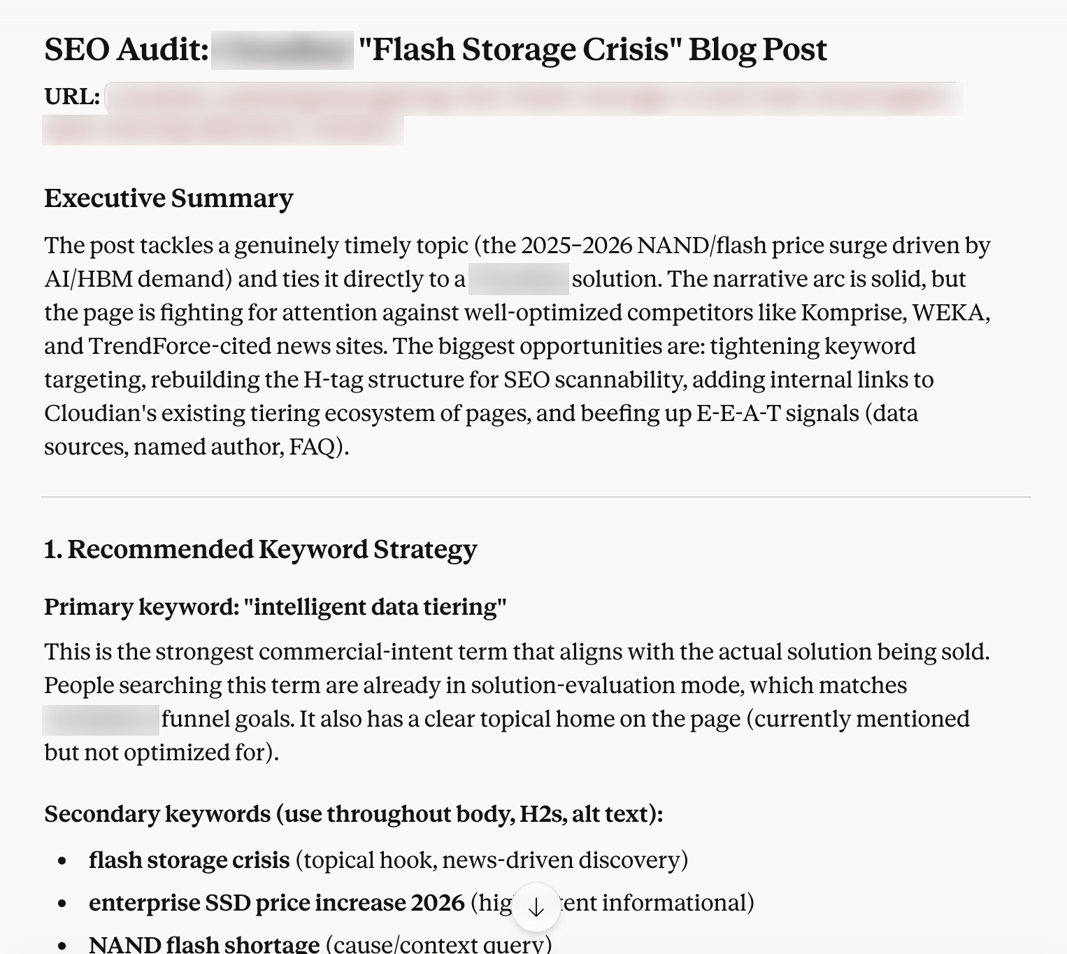 claude audit 2